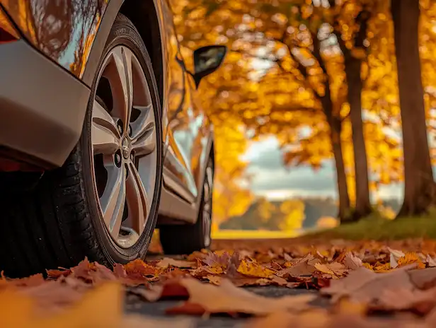 Fall Rim Maintenance